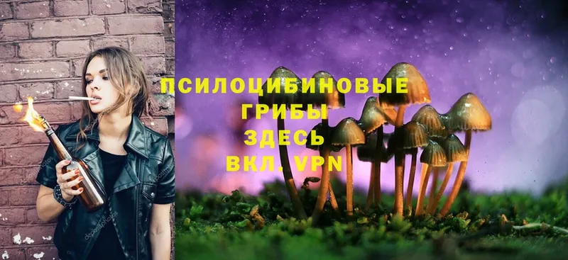 Псилоцибиновые грибы MAGIC MUSHROOMS Юрьев-Польский